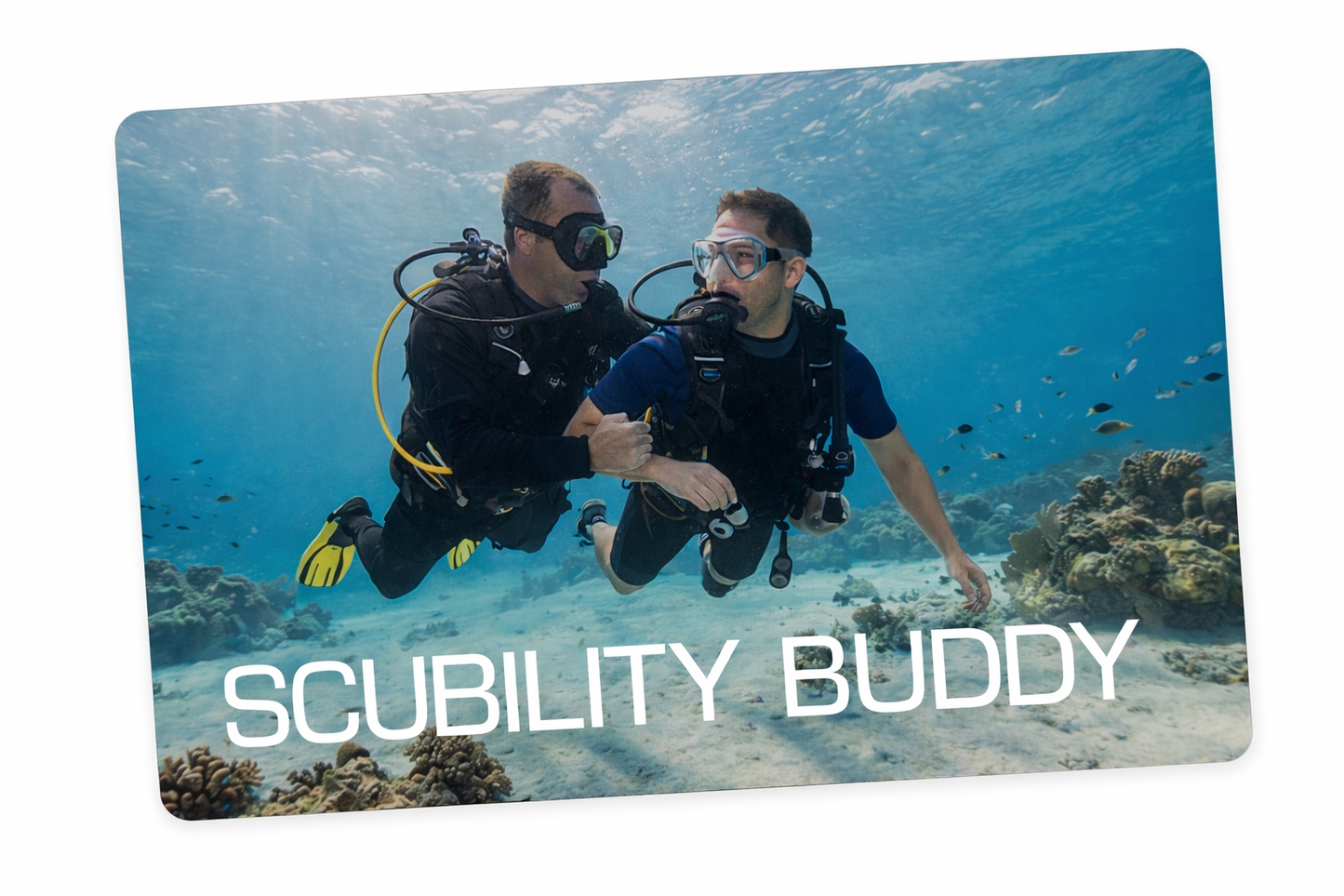 Scubility Dive Buddy Certification