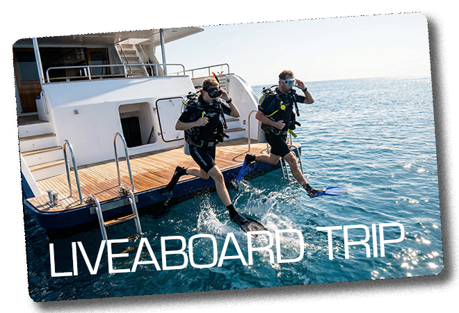 Two scuba divers stepping onto a liveaboard boat with 'LIVEABOARD TRIP' text overlay.