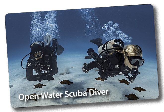 Two scuba divers underwater with bubbles and text 'Open Water Scuba Diver'.